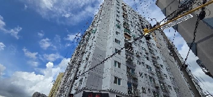 사진 14