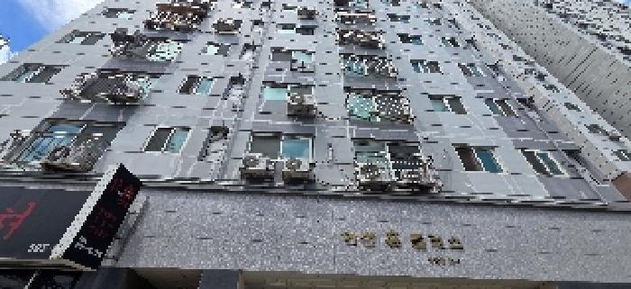 사진 15