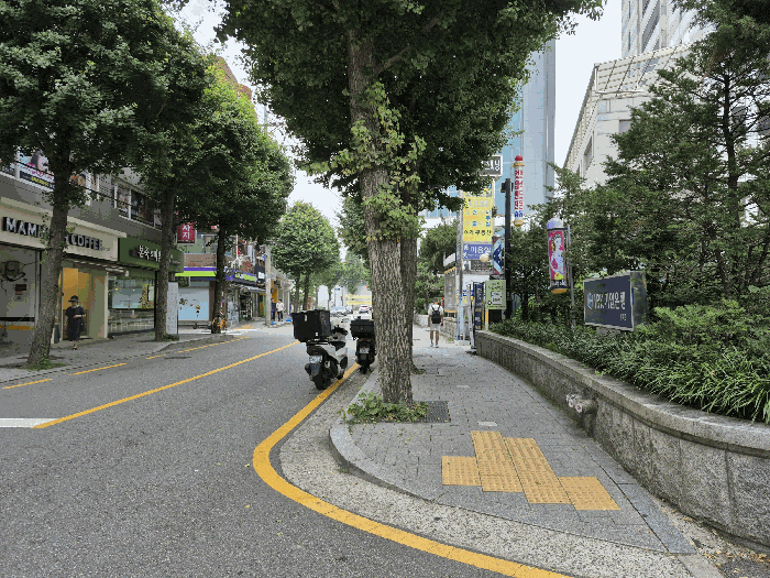 사진 12