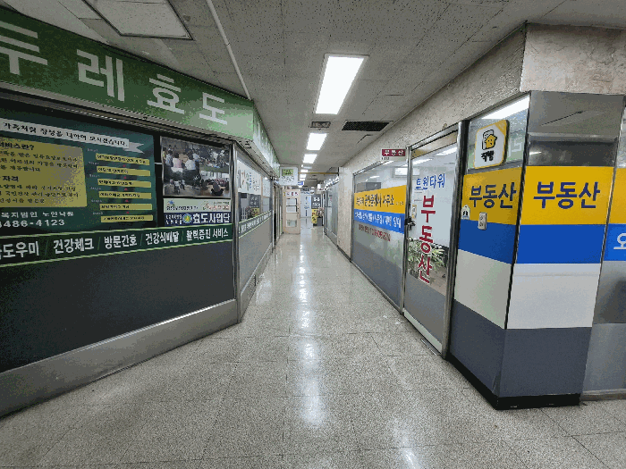 사진 15