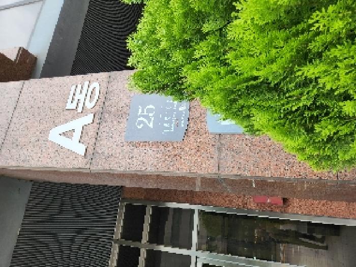 사진 3