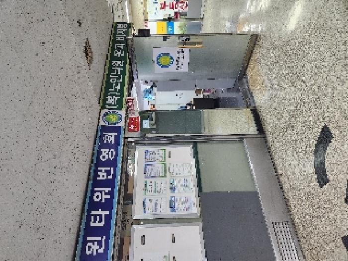 사진 4