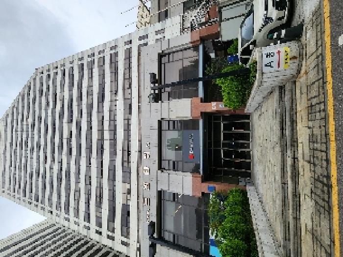 사진 5