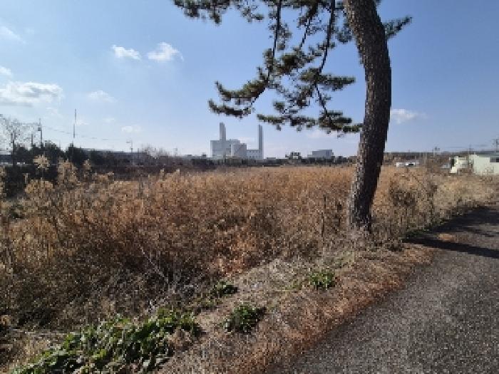 사진 2