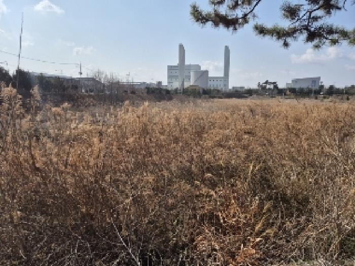 사진 11