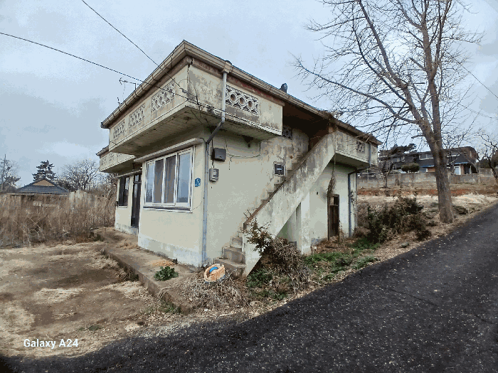 사진 19