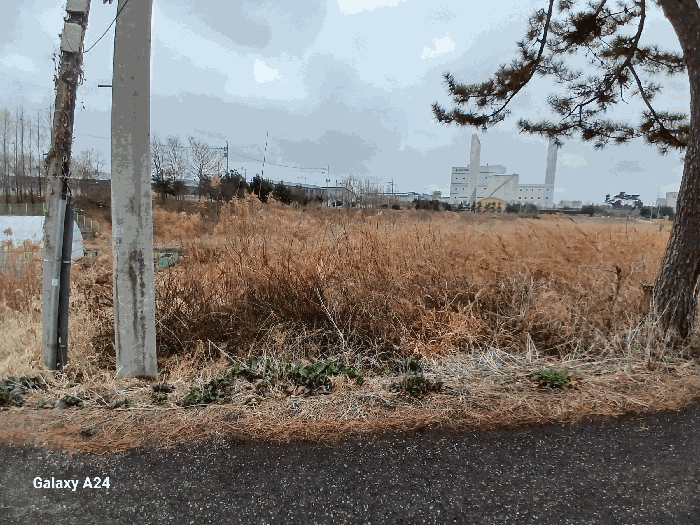사진 23
