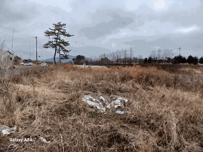 사진 24