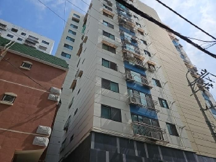 사진 13