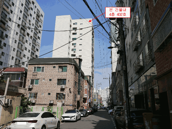 사진 8