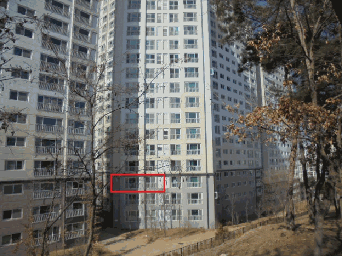 사진 3