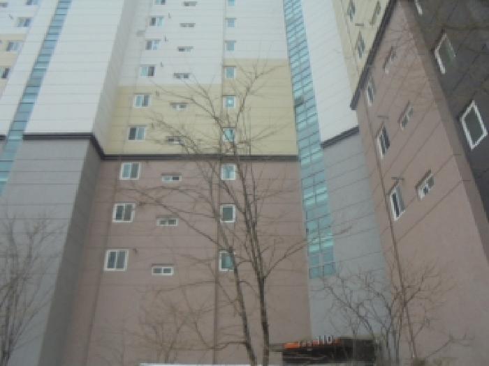 사진 9