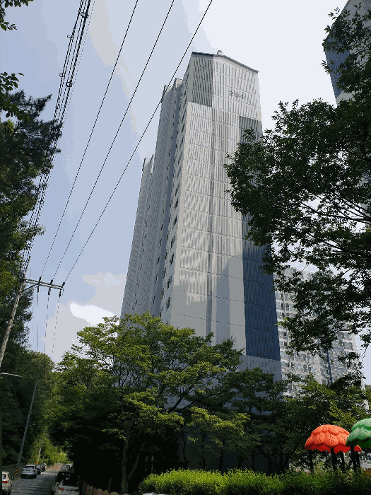 사진 5