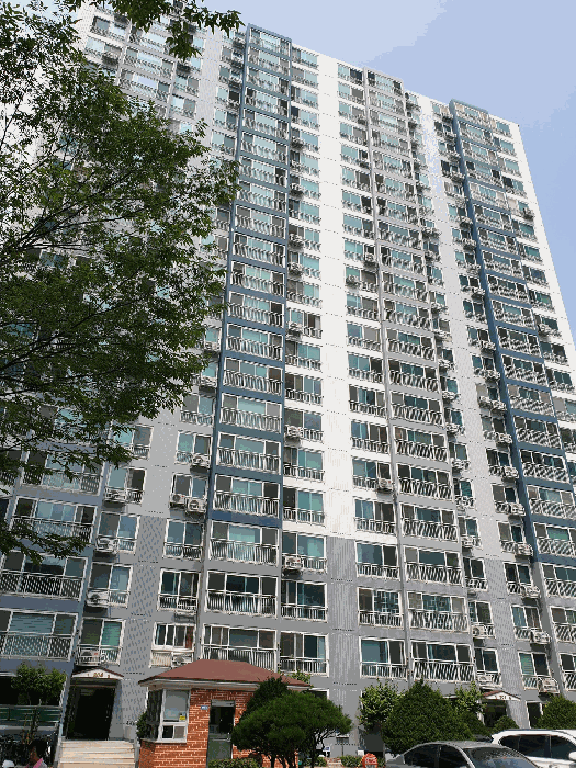 사진 7