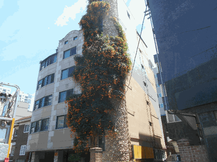 사진 37