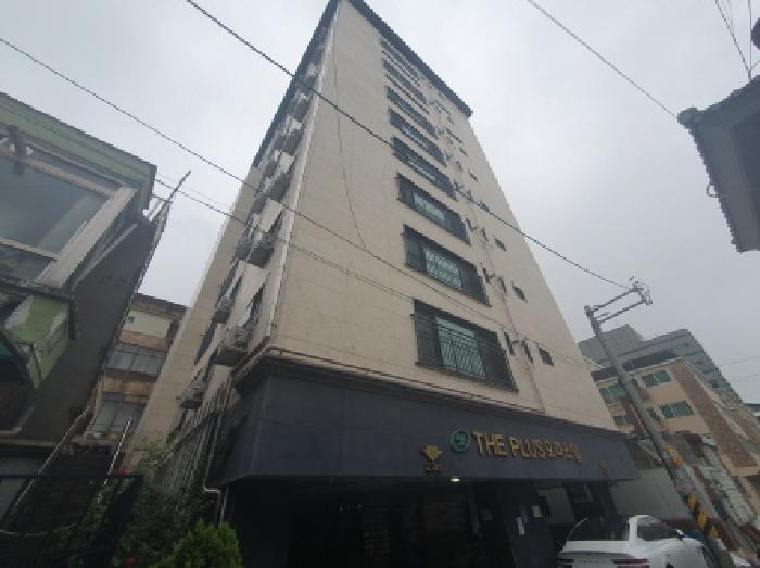 사진 10