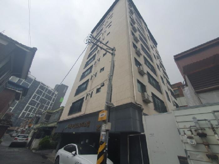 사진 11
