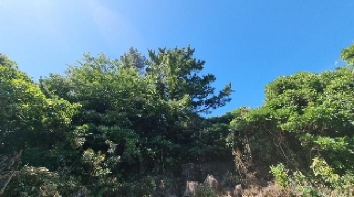 사진 6