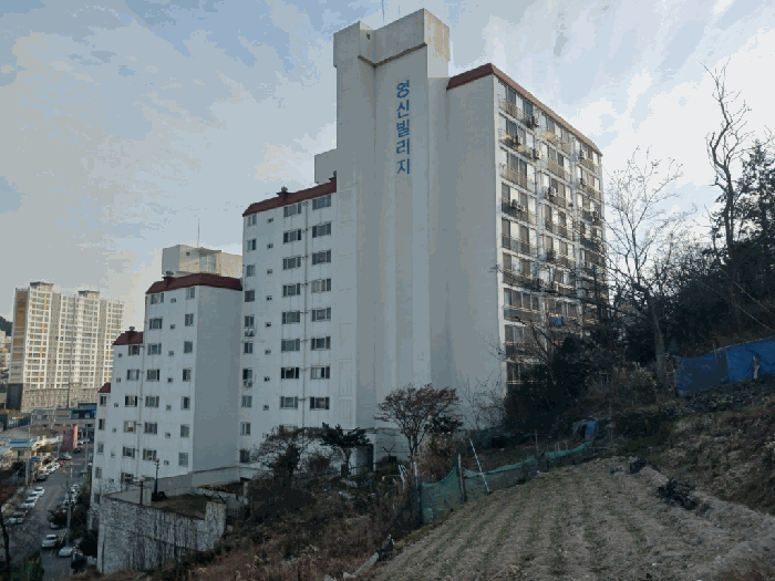사진 4