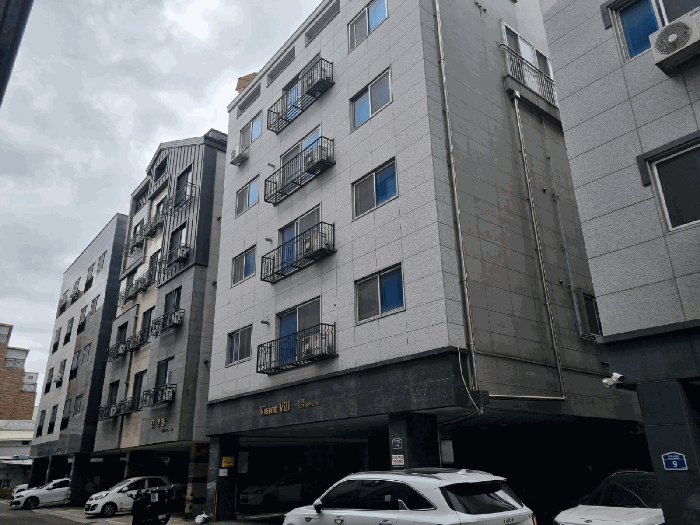 사진 12