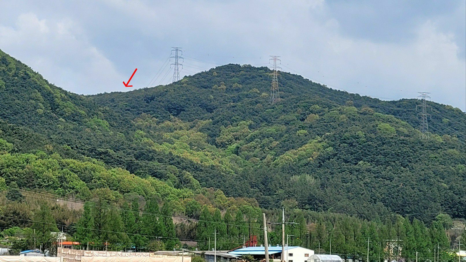 사진 1