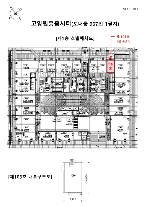 사진 6