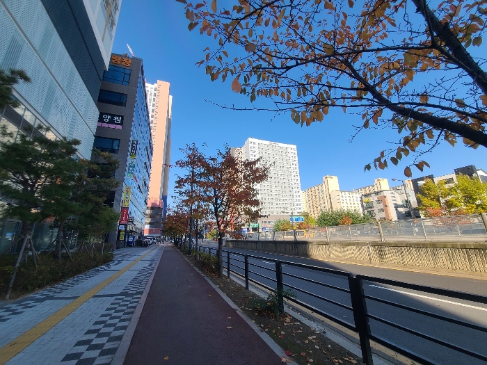 사진 9
