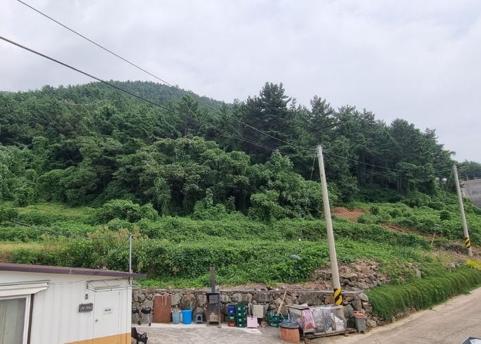 사진 14