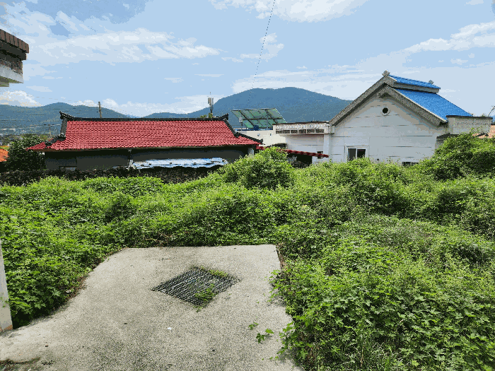 사진 2