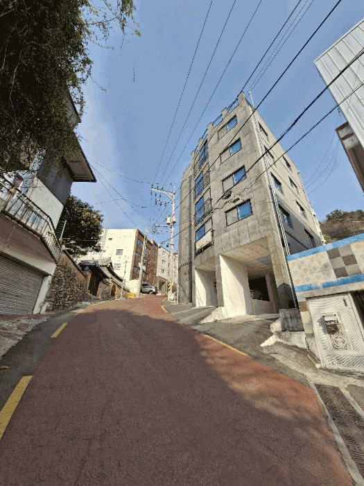 사진 17