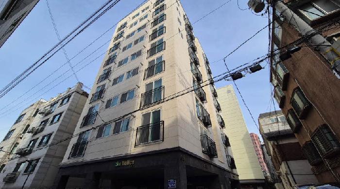 사진 8