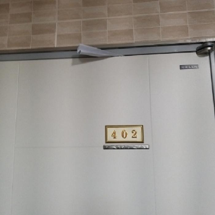 사진 12