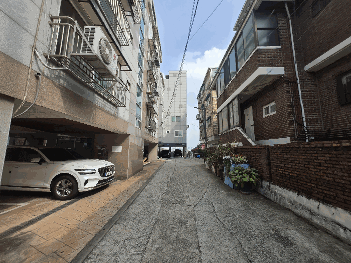사진 12