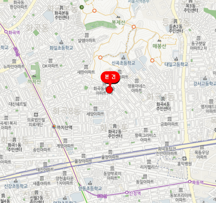 사진 6