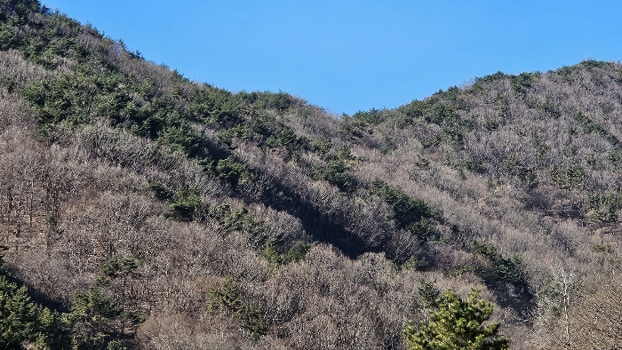 사진 1