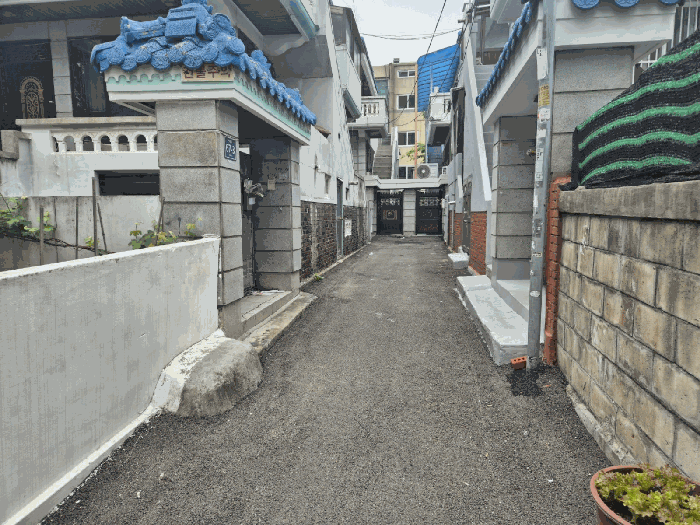 사진 8