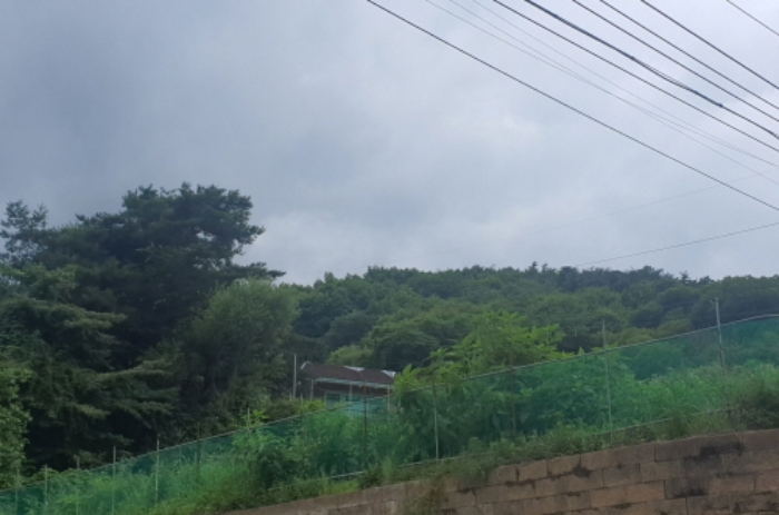 사진 10