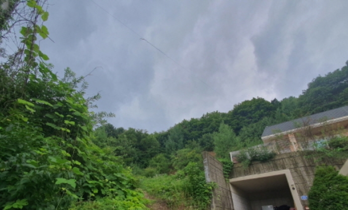 사진 11