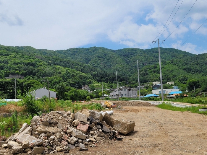 사진 6