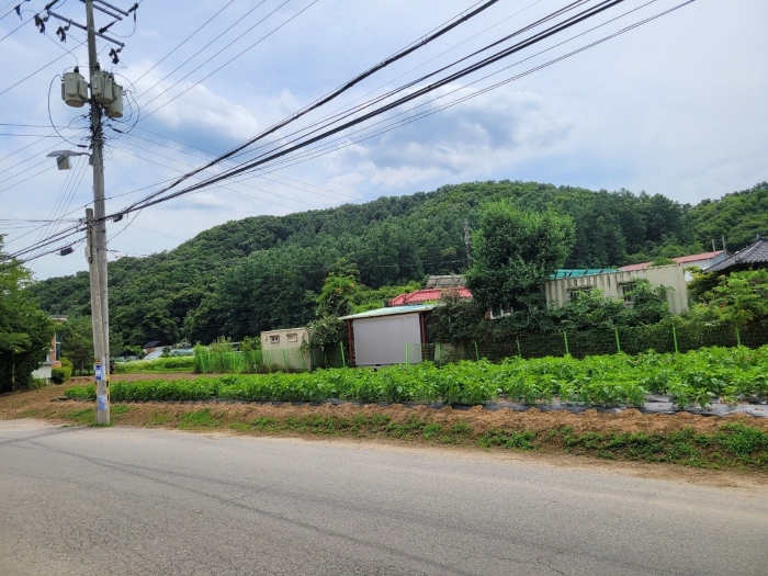 사진 7