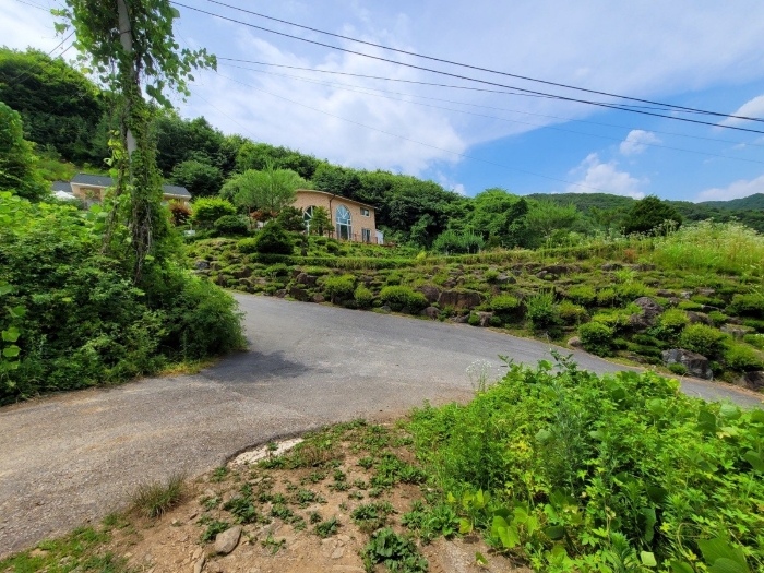 사진 8