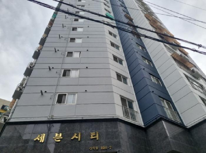 사진 2