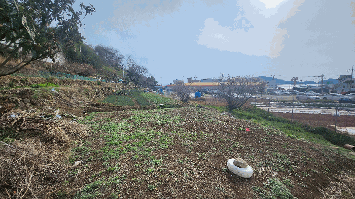 사진 2