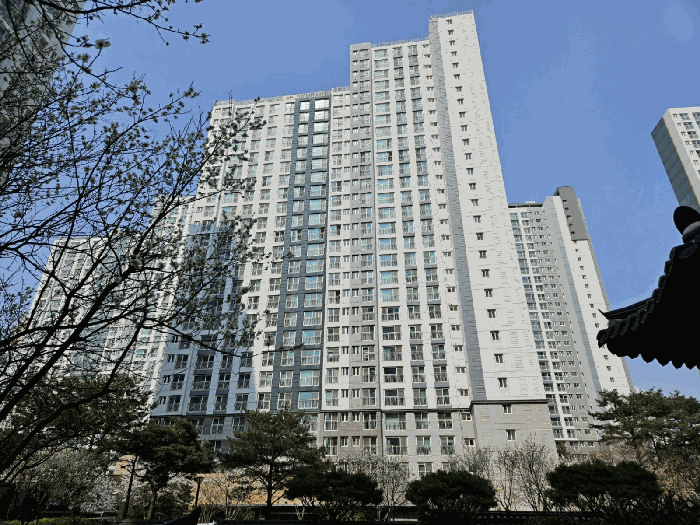 사진 1