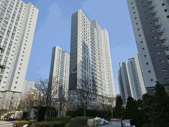 사진 8