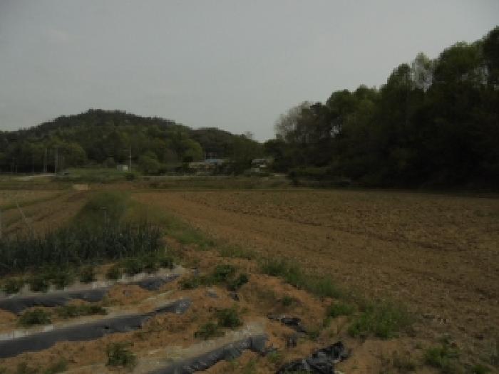 사진 13