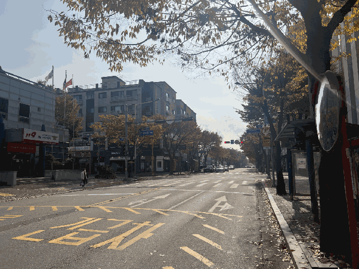 사진 11