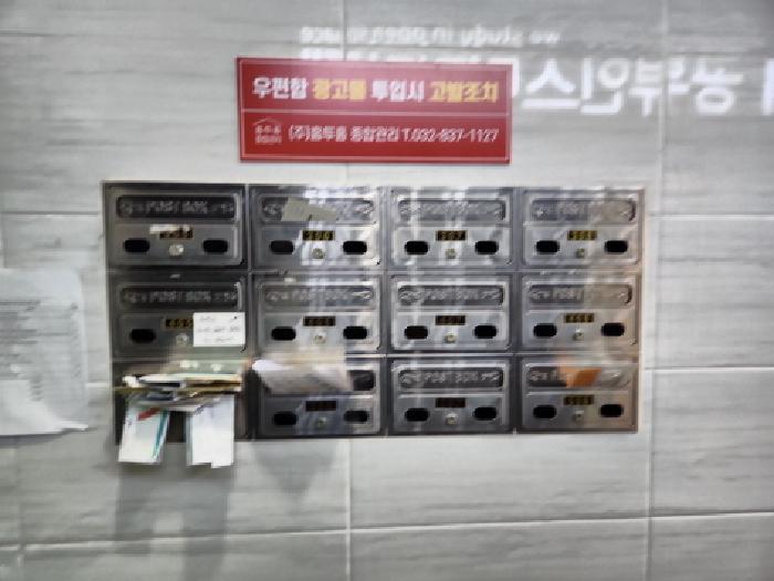 사진 5
