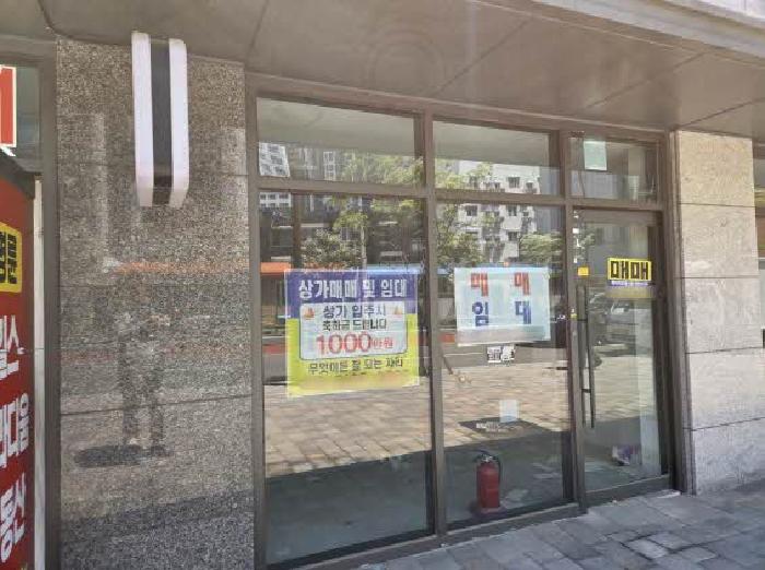 사진 12