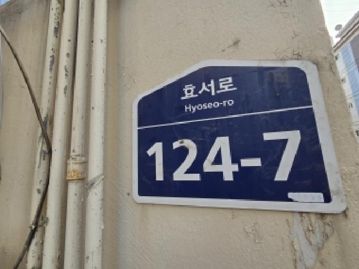 사진 10
